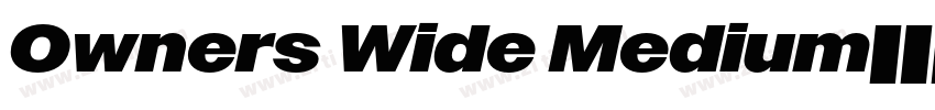 Owners Wide Medium字体转换